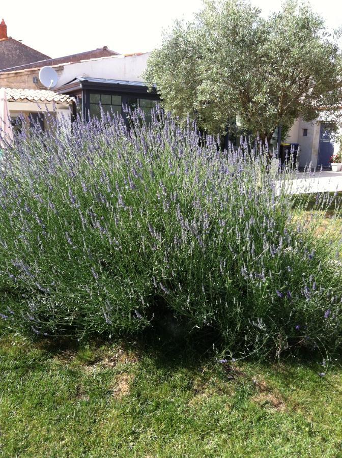 La Jarrie Leduc Bed and Breakfast Εξωτερικό φωτογραφία